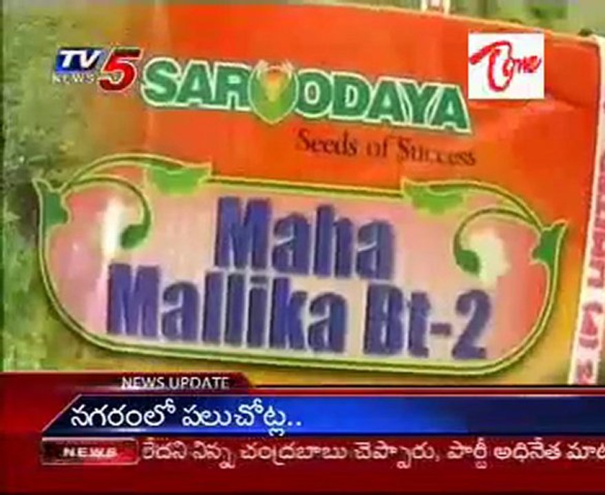 Nuzvid Seeds' Bt Cotton banned