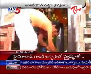 Pig - Parrot - Now its time for a DOG - Revolving around a Temple