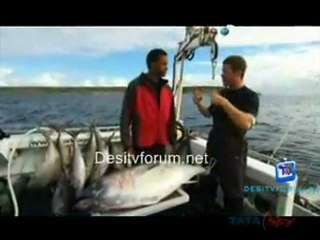 Great White Appetite - 24th June 2011 Video Watch online p2