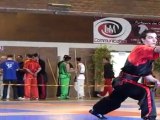 Championnat de France de Kung Fu Traditionnel 2011 (Cléon) 13/36 Armes seniors - Bâton 1