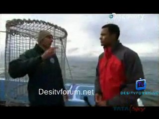 Great White Appetite - 24th June 2011 Video Watch online p5