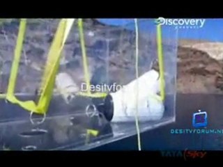 Great White Appetite - 24th June 2011 Video Watch online p7