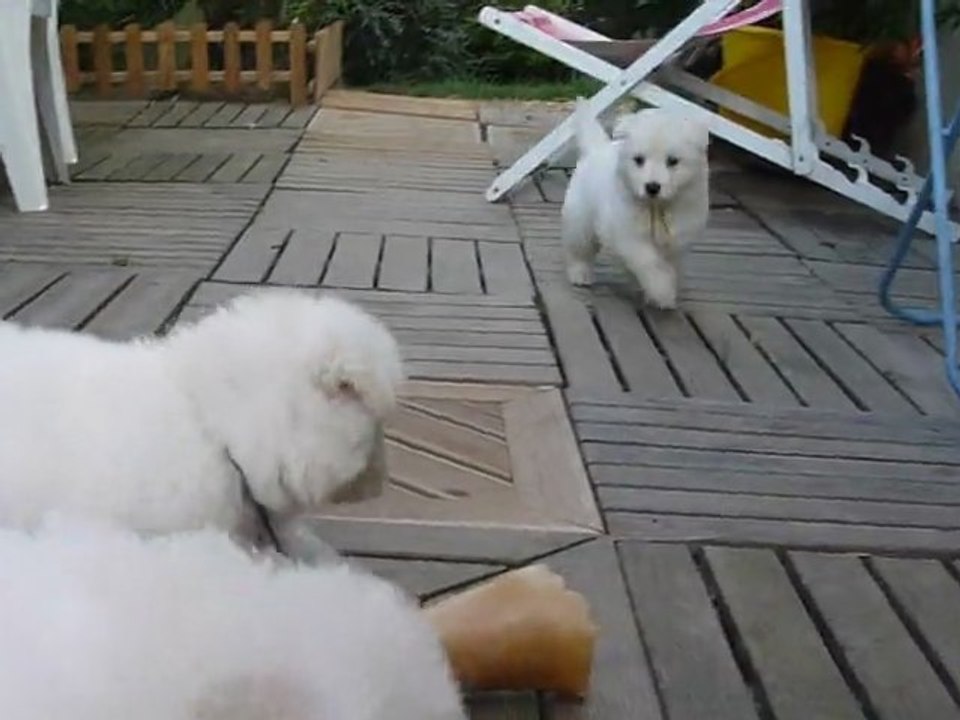 Bébés Daelynn &  Heaven