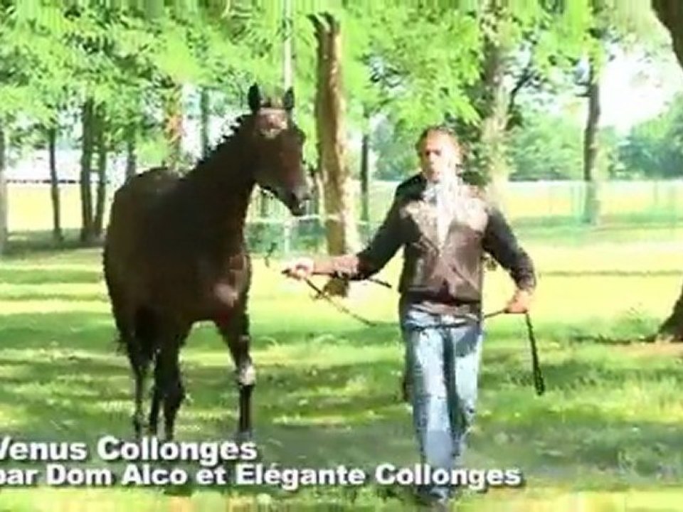 Concours de Paray-le-Monial: 1ère section