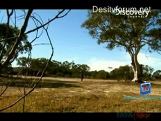 Nature's Deadliest - 24th June 2011 Watch Video Online p3