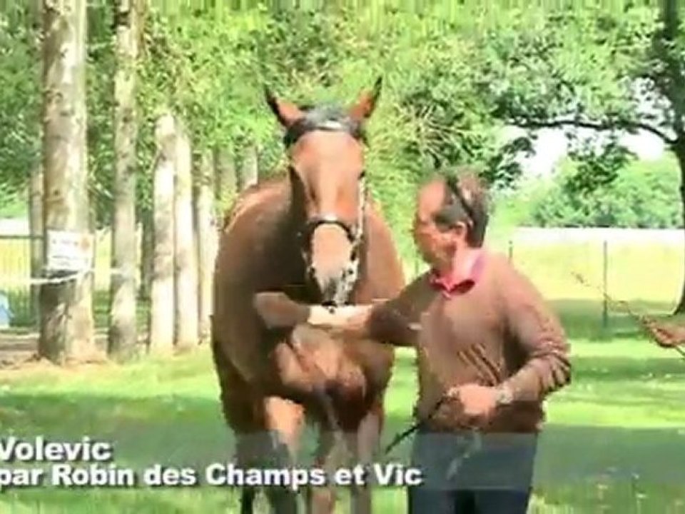Concours de Paray-le-Monial: 2ème section