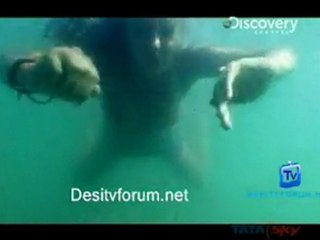 Nature's Deadliest - 24th June 2011 Watch Video Online p4