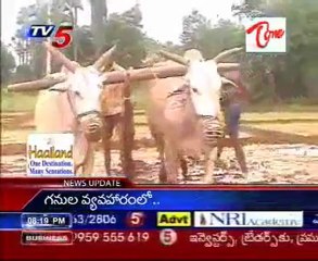 Brief History of Salura Proj, it is Ours only - AP