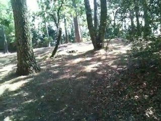 Traxxas Summit vs E-Revo