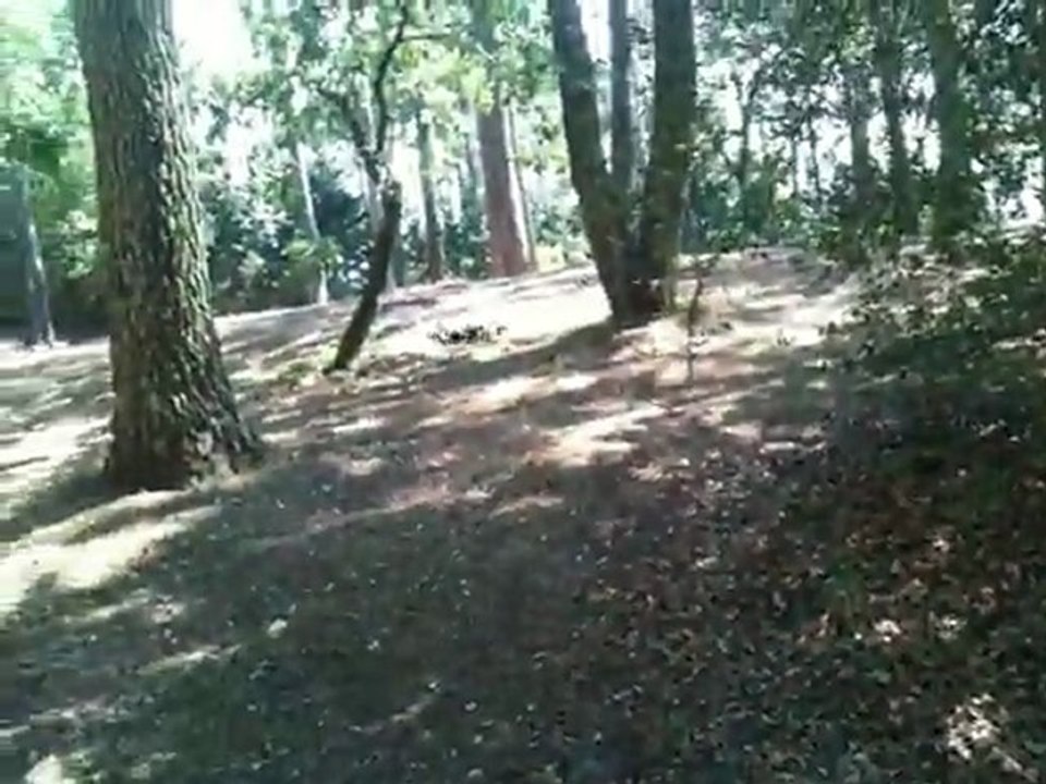 Traxxas Summit vs E-Revo