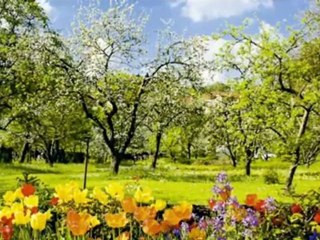 Substrate Varel, Jadebusen Klanz-Systeme GmbH