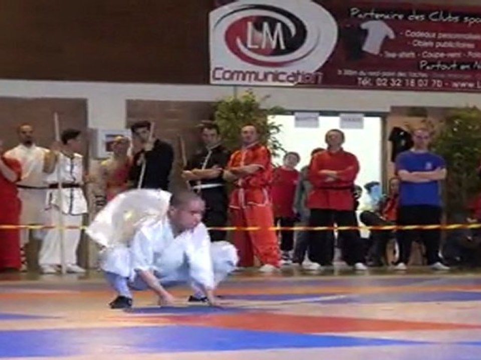 Championnat de France de Kung Fu Traditionnel 2011 (Cléon) 16/36 Armes seniors - Bâton 2