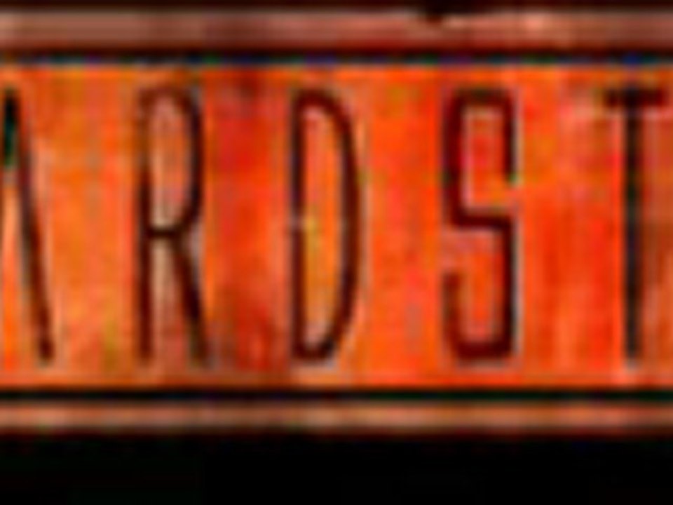 showtek-we live for the music hardstyle