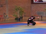 Championnat de France de Kung Fu Traditionnel 2011 (Cléon) 23/36 Tao Lu senior 1