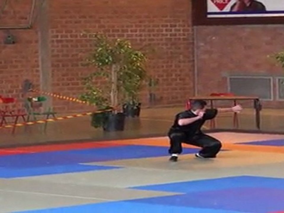 Championnat de France de Kung Fu Traditionnel 2011 (Cléon) 23/36 Tao Lu senior 1