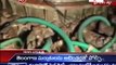 Leaking pipe poses danger to Srisailam power house