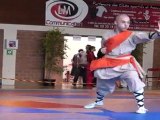 Championnat de France de Kung Fu Traditionnel 2011 (Cléon) 26/36 Tao Lu senior 2