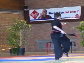 Championnat de France de Kung Fu Traditionnel 2011 (Cléon) 27/36 Armes minimes - Perforateurs 1