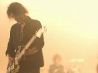 NCIS /  Chain reaction