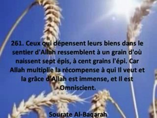 Les Héros de l'islam - L'Histoire des 100 Chameaux...