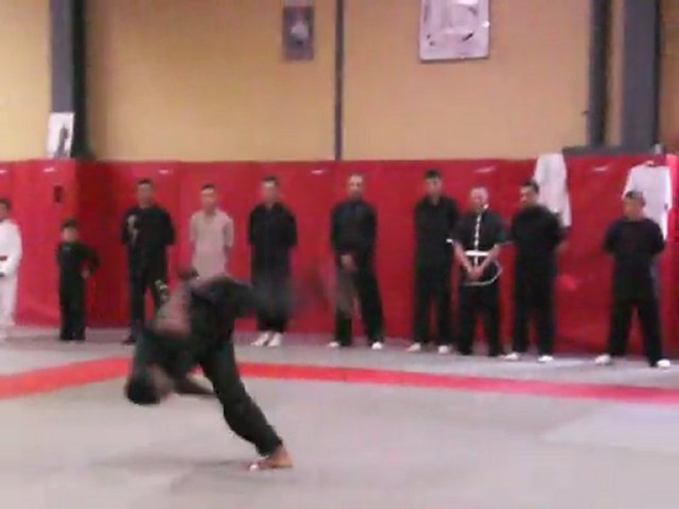 KUNG FU SINGE RONCHIN