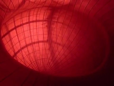 Anish Kapoor - Monumenta 2011 au Grand Palais-1