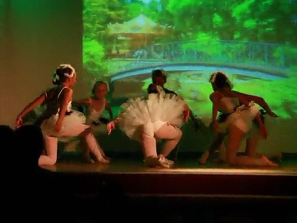 BalletClemPigeons