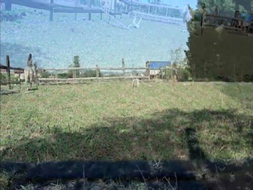 Séance fin juin en cordelette avec Kiss