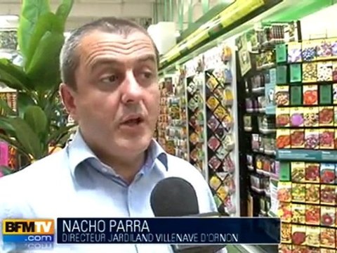 E.coli Gironde : des graines germées anglaises