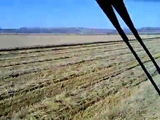 Ekinler Biçiliyor 25 Haziran 2011 Şereflikoçhisar