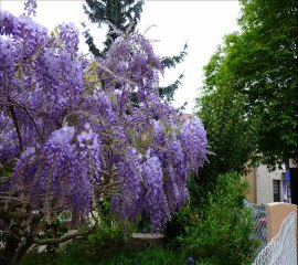 24 juin 2011 remise des diplômes