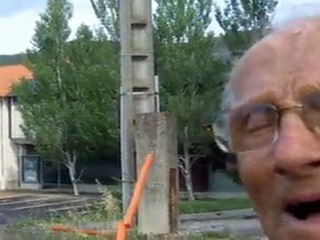 ABATAGE PLATANE 13 VENTS