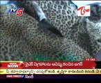 Cheeta Skins Seized taskforce Police @  HYD