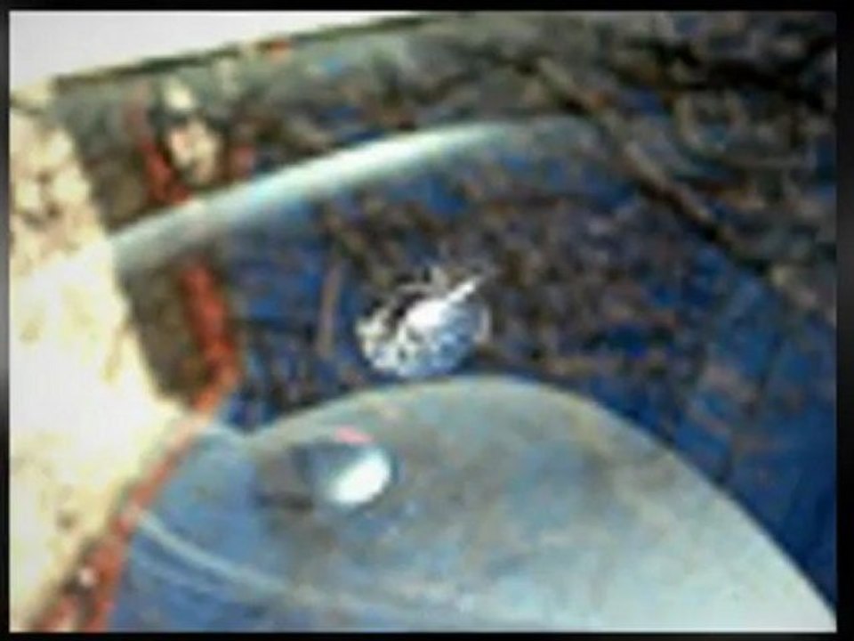 LAMONT FL  auto glass quotes