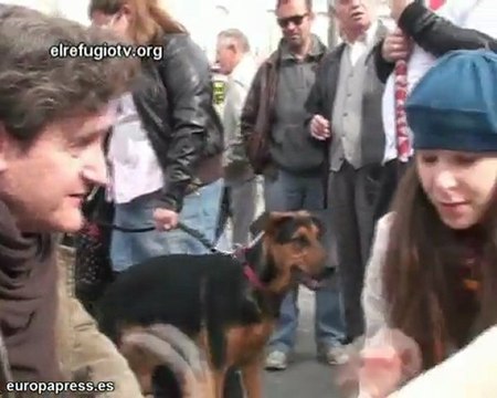 Los perros celebran San Valentín