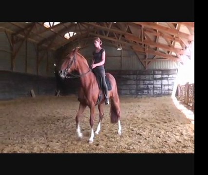 jéfa dressage le 24 juin 2011