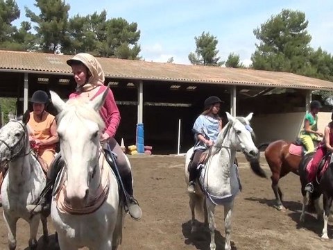 La Provence à cheval. Fête 2011