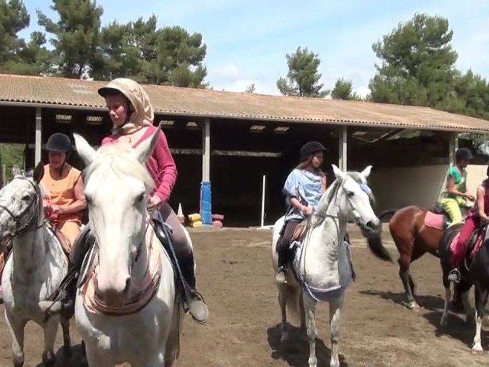 La Provence à cheval. Fête 2011