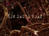 How Drugs Work: Cannabis [1/3]