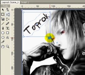 Swishmax ile Yazı Silme
