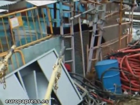 Animales viven hacinados en solar insalubre