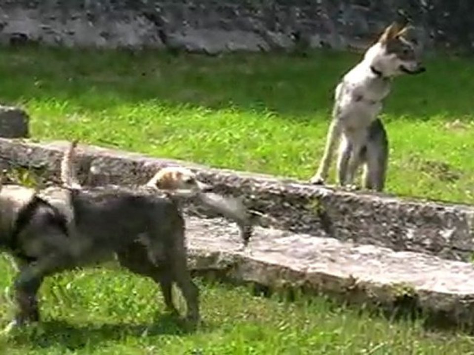 MOV00A