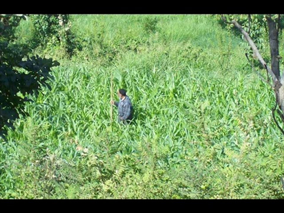 ramazan ortak,sincik,adıyaman,malatya,bilgisayarcı,webtasarı