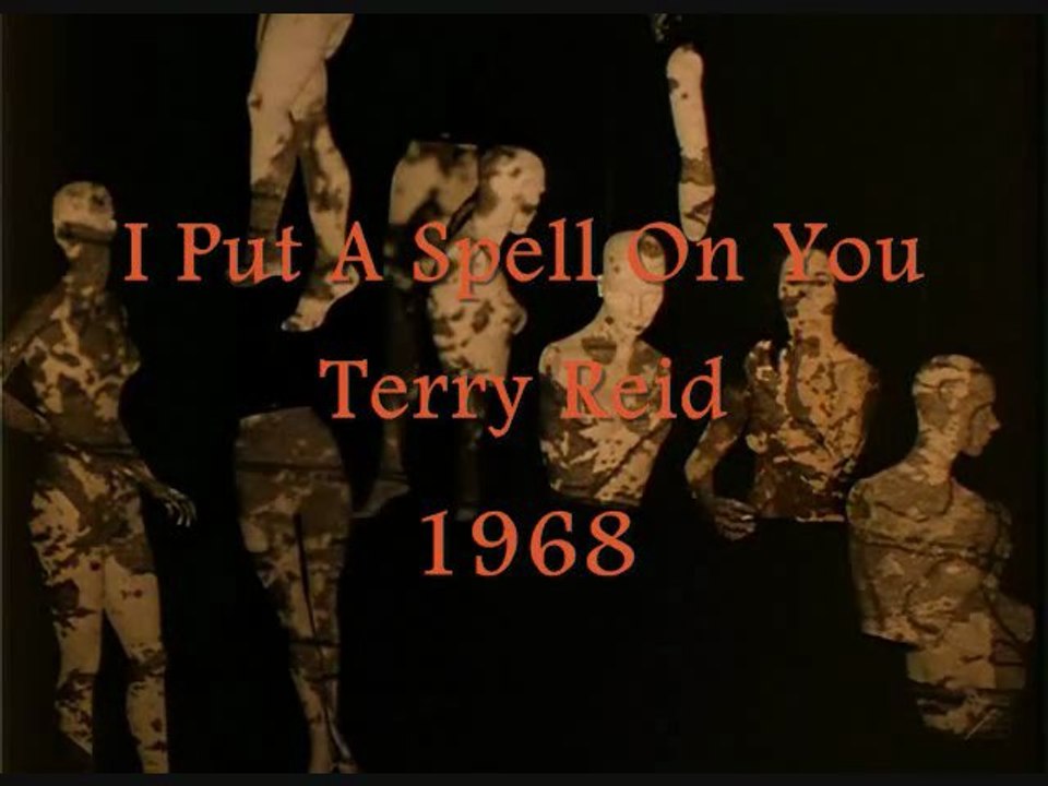 I Put A Spell On You : Terry Reid