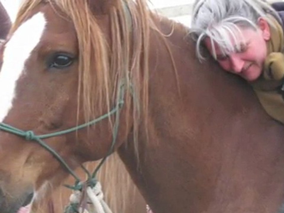 Moi ,  Mon Gros et le Parelli