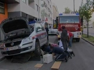 chaton coincé dans une voiture de police [Subtilted]