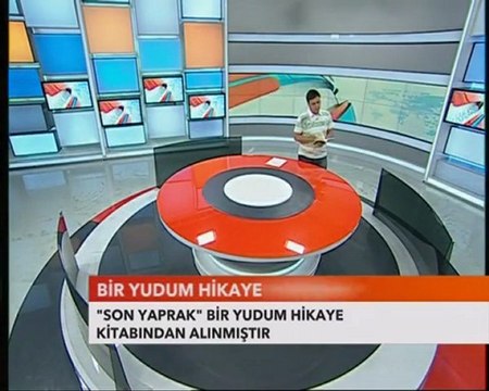 Asım Yıldırım Son yaprak