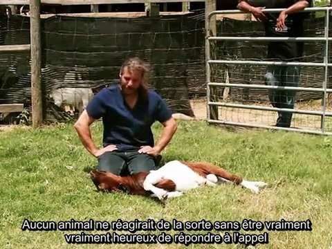 Mercy Halal - La miséricorde de l’abattage rituel islamique part 2