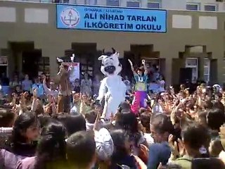 maskot inek çoşuyor, maskot, maskot kiralama, maskotcum, maskot uzmanı,