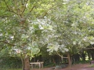 Messe Saint Martin juin 2011